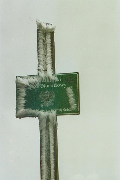 w4.jpg